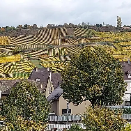 Ferienhaus Le Tokay - Domaine Fritz Sigolsheim